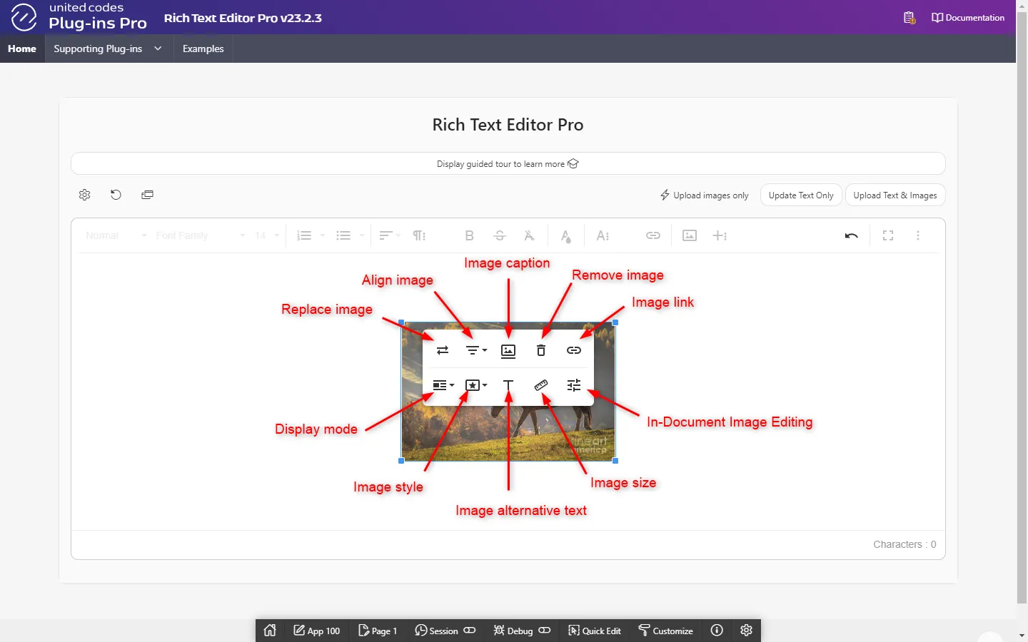 image-20240311100307287